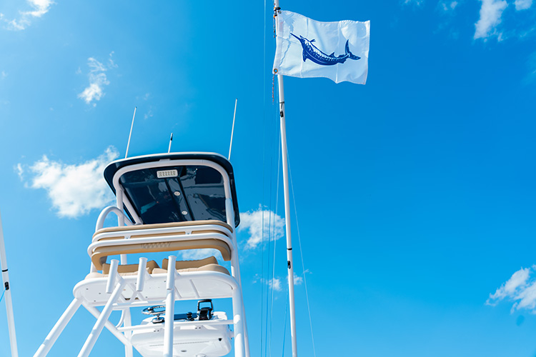 Cover image for the post Phenom Yachts Fishing Team Kicks Off Tournament Season with a Win at the Georgetown Blue Marlin Tournament